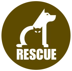 Monkey and Goose Adoption Central logo. Logo design by randyheil